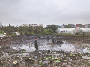 河池河道鱼塘清淤